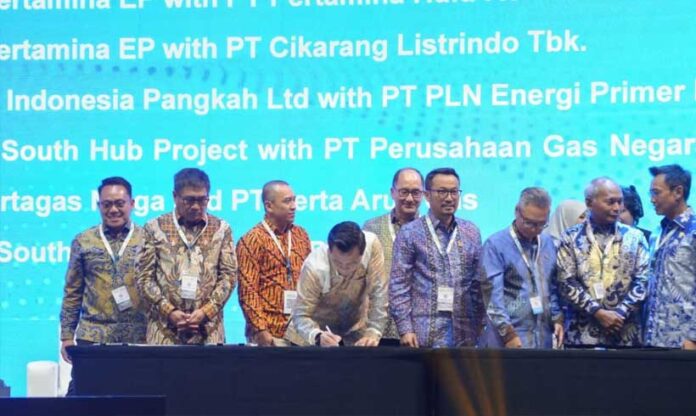 IPA Convex 2026