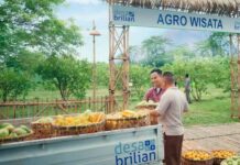 BRI Resmikan Kick-Off Desa BRILiaN 2026 untuk Dorong Transformasi Desa 5.0 Desa BRILiaN 2026