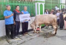 Maknai Iduladha, Pertamina Berbagi Lebih dari 4.400 Hewan Kurban hewan kurban