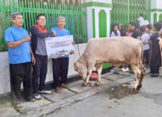 Maknai Iduladha, Pertamina Berbagi Lebih dari 4.400 Hewan Kurban hewan kurban