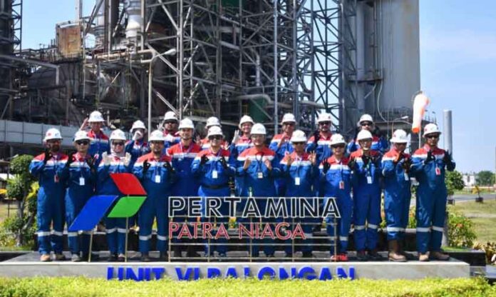 ketahanan energi