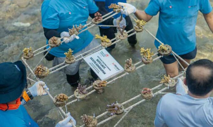 Hari Lingkungan Hidup Hari Lingkungan Hidup