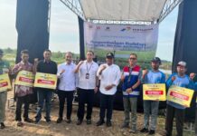 Dari Padi Biosalin ke Minapadi Salin, PGN – BRIN – Pemkab Batang Dorong Nilai Ekonomi Lahan Pesisir Batang Minapadi Salin