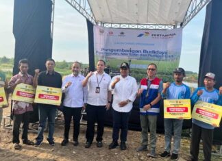 Dari Padi Biosalin ke Minapadi Salin, PGN – BRIN – Pemkab Batang Dorong Nilai Ekonomi Lahan Pesisir Batang Minapadi Salin