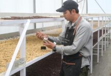 Dari Panas Bumi: Inovasi Pertamina Hadirkan Secangkir Kopi panas bumi