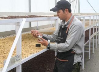 Dari Panas Bumi: Inovasi Pertamina Hadirkan Secangkir Kopi panas bumi