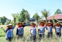 Wujud Keberhasilan Swasembada Pangan dan Energi, Komisaris Pertamina Apresiasi Program TJSL Uma Palak Lestari Uma Palak Lestari