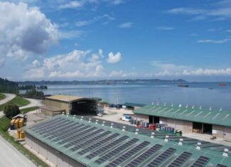 Hari Lingkungan Hidup, Pertamina Trans Kontinental Dorong Dekarbonisasi Hari Lingkungan Hidup