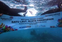 Peringati Hari Lingkungan Hidup Sedunia, TelkomGroup Tanam 2.000 Fragmen Karang di Kepulauan Seribu Hari Lingkungan