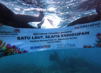 Peringati Hari Lingkungan Hidup Sedunia, TelkomGroup Tanam 2.000 Fragmen Karang di Kepulauan Seribu Hari Lingkungan