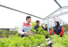 Dari Energi Bersih Hingga Peluang Usaha, Desa Energi Berdikari Perkuat Ekonomi Masyarakat Desa Desa Energi Berdikari