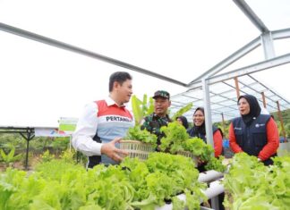 Dari Energi Bersih Hingga Peluang Usaha, Desa Energi Berdikari Perkuat Ekonomi Masyarakat Desa Desa Energi Berdikari