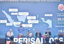 Dukung Ketahanan Energi Nasional, Pertamina Optimalkan Potensi Sawit dan Limbahnya untuk Substitusi Impor BBM ketahanan energi nasional
