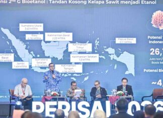 Dukung Ketahanan Energi Nasional, Pertamina Optimalkan Potensi Sawit dan Limbahnya untuk Substitusi Impor BBM ketahanan energi nasional
