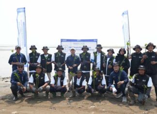 Hari Mangrove Sedunia 2026, BRI Peduli Libatkan Kelompok Tani Lokal Tanam 24.000 Mangrove untuk Pulihkan Ekosistem Pesisir Hari Mangrove Sedunia