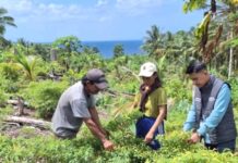 Di Tengah Bentang Kepulauan Talaud, Mantri BRI Hadir Menggerakkan Denyut Nadi Perekonomian Mantri BRI