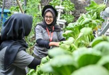 GreenBus Pertamina, Ajak Generasi Muda Belajar dari Kampung Hijau Cemara GreenBus Pertamina