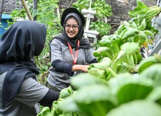 GreenBus Pertamina, Ajak Generasi Muda Belajar dari Kampung Hijau Cemara GreenBus Pertamina