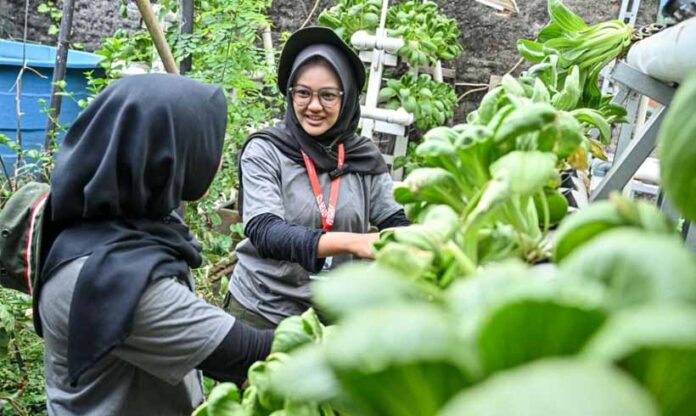GreenBus Pertamina
