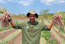 Mengubah Kemarau Menjadi Harapan, Pertamina Dampingi Petani Boyolali Bangkit dan Lebih Sejahtera Boyolali
