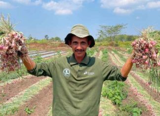 Mengubah Kemarau Menjadi Harapan, Pertamina Dampingi Petani Boyolali Bangkit dan Lebih Sejahtera Boyolali