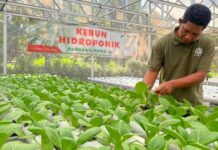 Desa Energi Berdikari Pertamina Dorong Kemandirian Penyandang Disabilitas di Boyolali Desa Energi Berdikari
