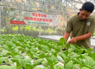 Desa Energi Berdikari Pertamina Dorong Kemandirian Penyandang Disabilitas di Boyolali Desa Energi Berdikari
