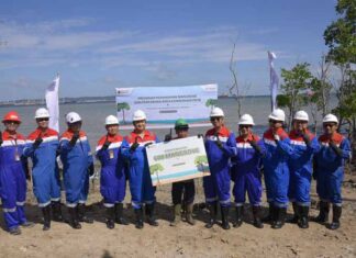 Program Pertamina Trans Kontinental Berhasil Tingkatkan Keanekaragaman Hayati Kawasan Mangrove Kariangau kawasan mangrove