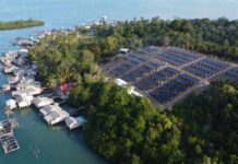 Di hadapan Presiden RI, Pertamina NRE Pamerkan PLTS Pulau Sembur Dukung Program PLTS 100 GWp PLTS Pulau Sembur