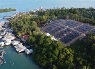 Di hadapan Presiden RI, Pertamina NRE Pamerkan PLTS Pulau Sembur Dukung Program PLTS 100 GWp PLTS Pulau Sembur