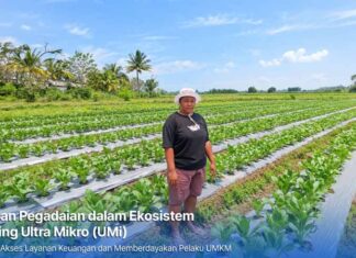 KUR Mikro BRI Bantu Mur Dwi Astuti Kembangkan Usaha Pertanian di Merauke KUR Mikro BRI