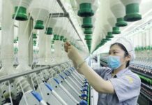 BUMN Tekstil Baru Jadi Strategi Danantara Kembangkan Industri Padat Karya BUMN Tekstil
