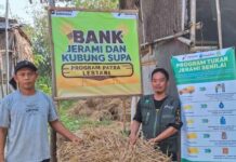 Pertamina Patra Niaga Dorong Ekonomi Sirkular di Karawang, Membuka Peluang Melalui Limbah Jerami Pertamina Patra Niaga