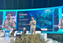 Saat Raksasa Laut Terancam di Jalur Kapal, Pertamina International Shipping Turun Tangan Gunakan Teknologi Ini Pertamina International Shipping