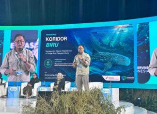 Saat Raksasa Laut Terancam di Jalur Kapal, Pertamina International Shipping Turun Tangan Gunakan Teknologi Ini Pertamina International Shipping