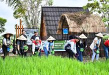 Kisah Sukses Petani Uma Palak Binaan Pertamina, Solusi Air dan Energi Mandiri Memikat Delegasi ASCOPE Petani Uma Palak