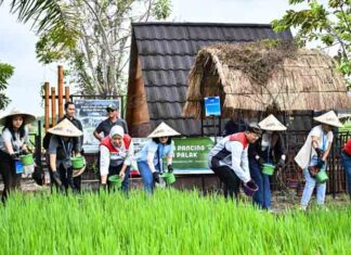 Kisah Sukses Petani Uma Palak Binaan Pertamina, Solusi Air dan Energi Mandiri Memikat Delegasi ASCOPE Petani Uma Palak