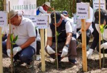 TelkomGroup Lakukan ‘Aksi Lestari’, Tanam 1.000 Mangrove untuk Pulihkan Pesisir Gresik Aksi Lestari