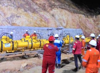 Gas Natuna ke Batam Jadi Tonggak Baru, PLN EPI Sukses Perkuat Pasokan Listrik Gas Natuna ke Batam